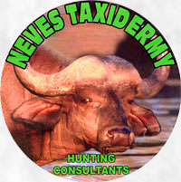 Great Taxadermy site